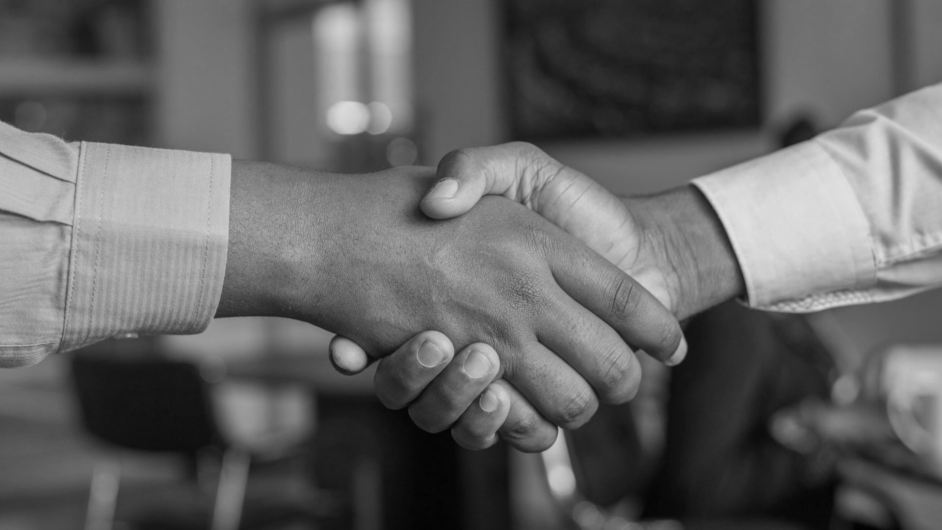 Client Reviews and Testimonials